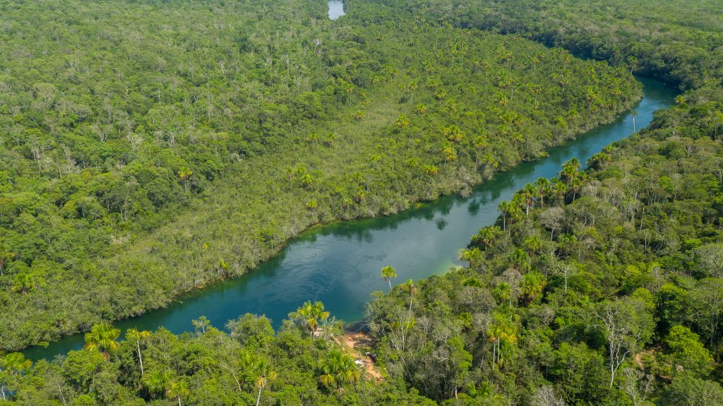 Area de preservação (2)