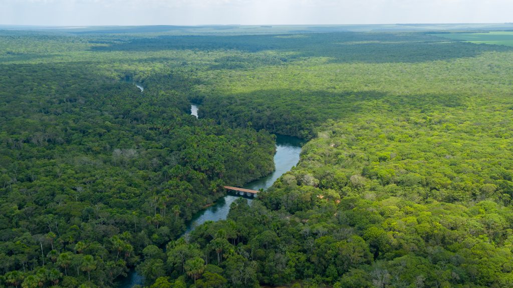 Area de preservação (5)